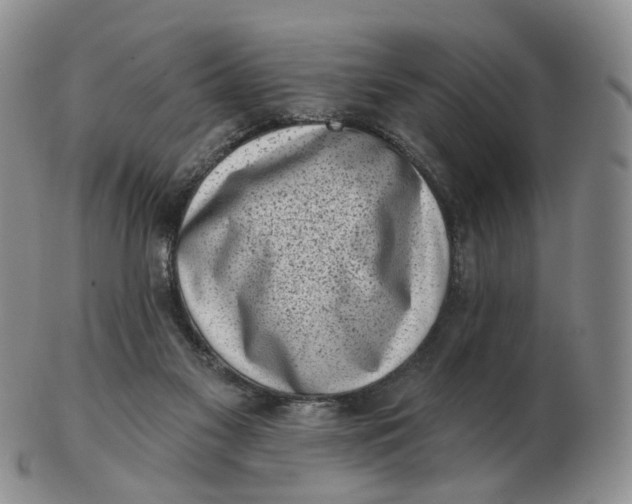 X0000103150117200809121825