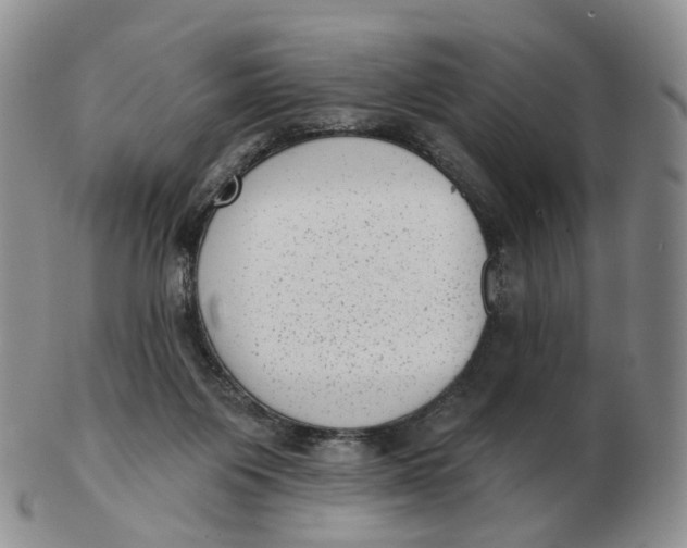 X0000103150119200809121825