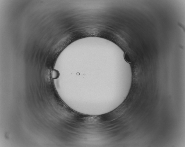 X0000103150122200809121824