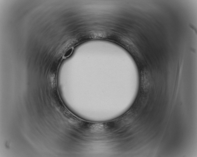 X0000103150123200809121824