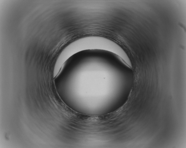 X0000103150124200809121824