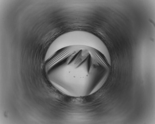 X0000103150125200809121824