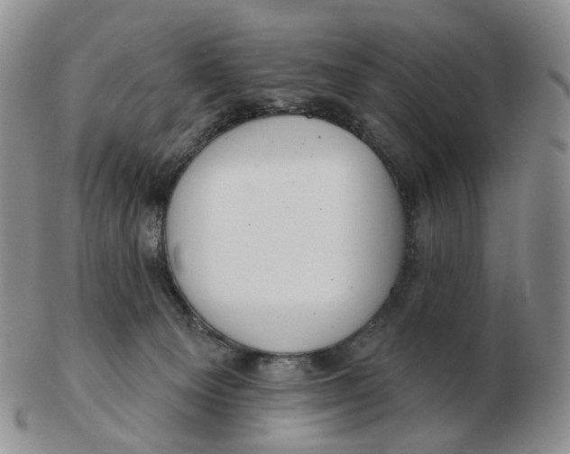 X0000103150129200809121824