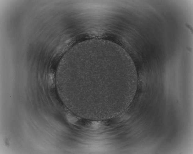 X0000103150130200809121824