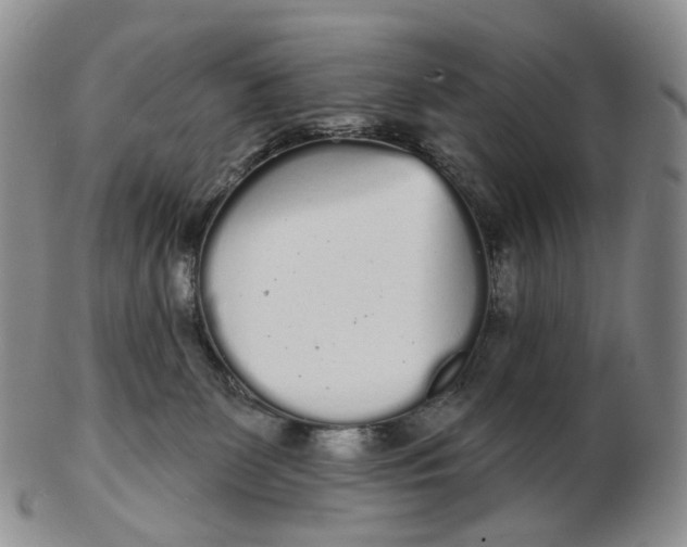 X0000103150131200809121824