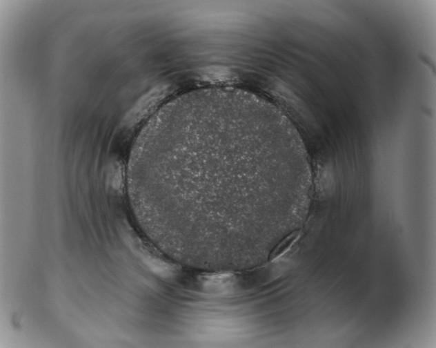 X0000103150132200809121824