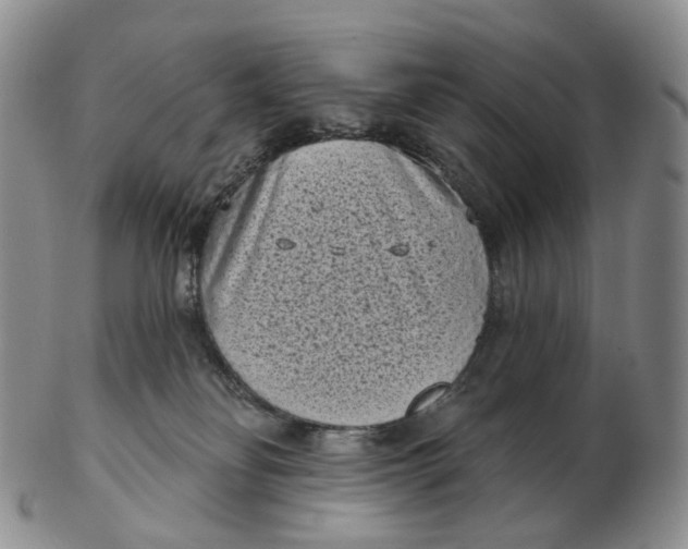 X0000103150134200809121824