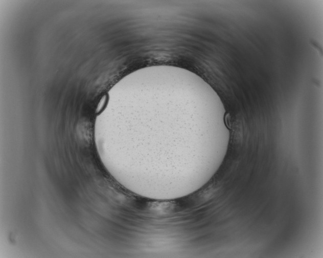 X0000103150135200809121824