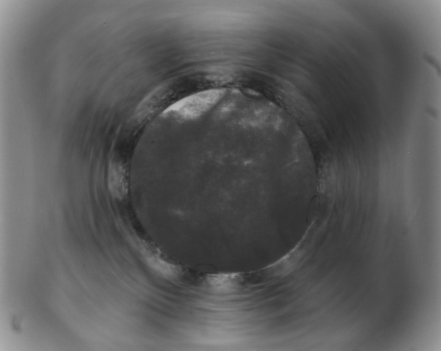 X0000103150136200809121824