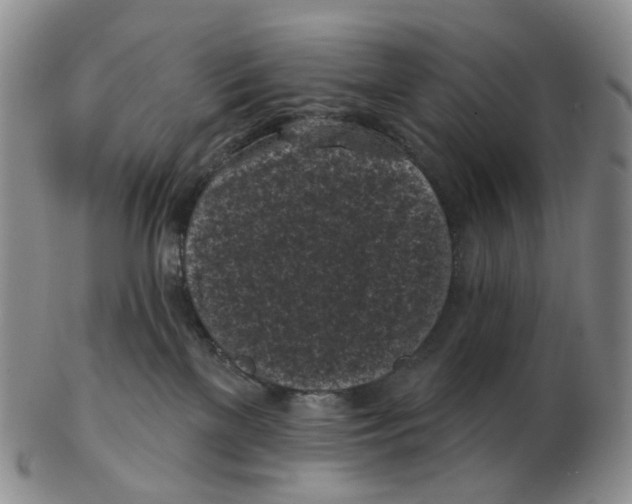 X0000103150137200809121824