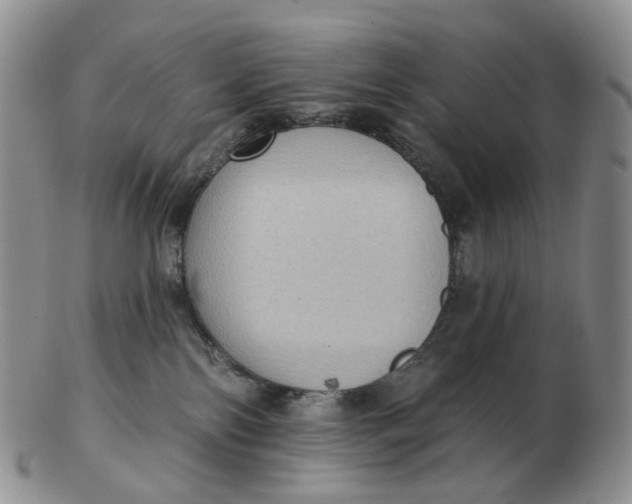 X0000103150138200809121824