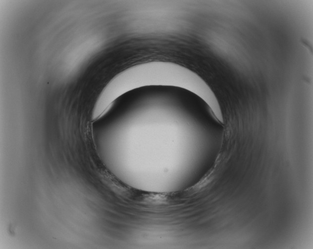 X0000103150140200809121824