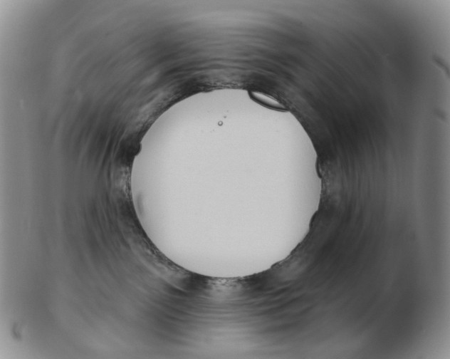 X0000103150141200809121824