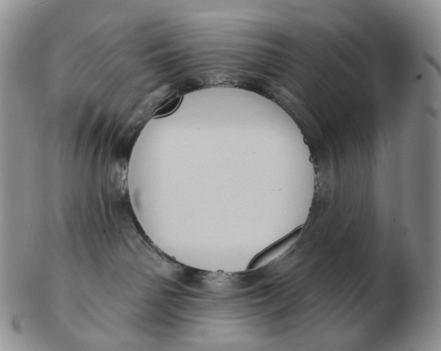 X0000103150142200809121824