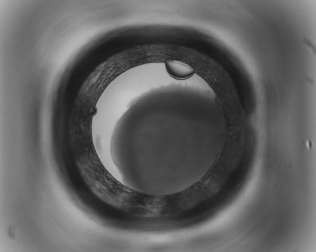 X0000103150143200809121824