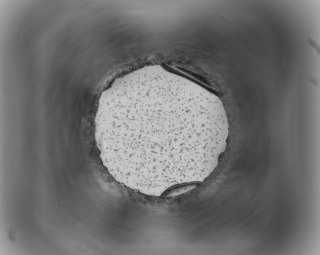 X0000103150144200809121824