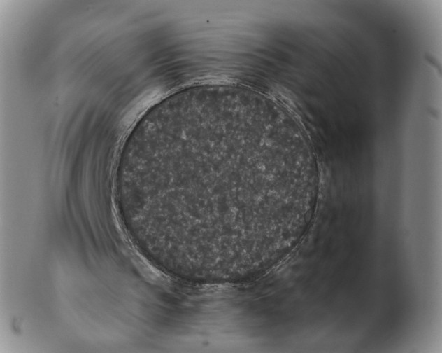 X0000103150145200809121824