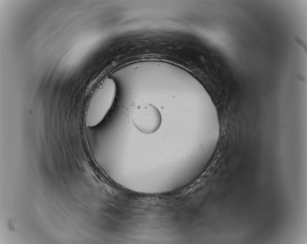 X0000103150146200809121824