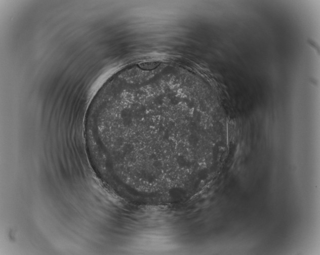 X0000103150147200809121824