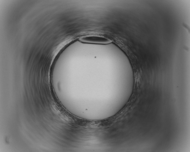 X0000103150148200809121824