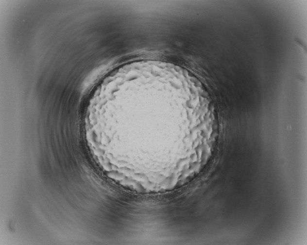 X0000103150149200809121824