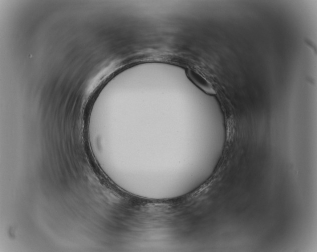 X0000103150150200809121824