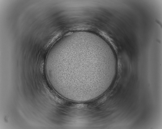 X0000103150153200809121824