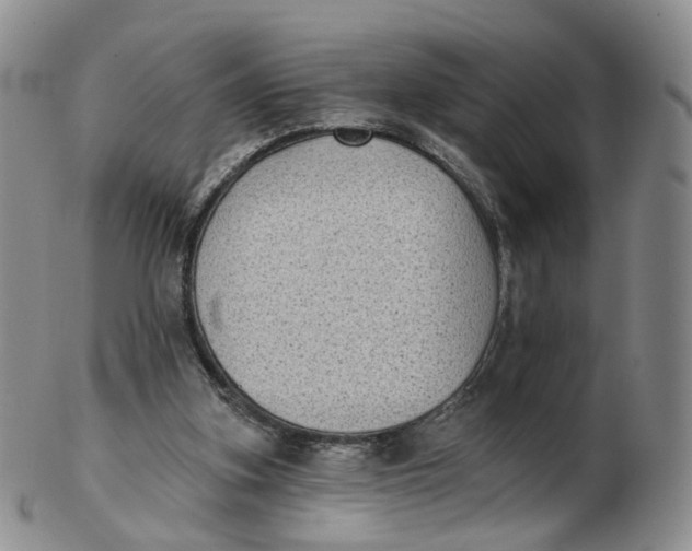 X0000103150155200809121824