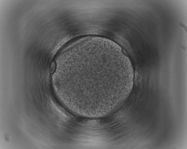 X0000103150156200809121824