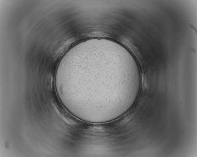 X0000103150157200809121824