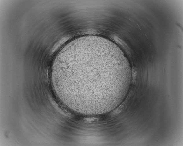 X0000103150158200809121824