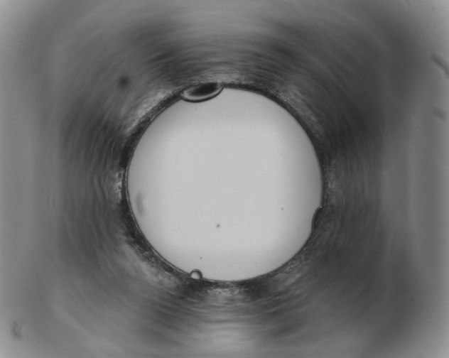 X0000103150160200809121824