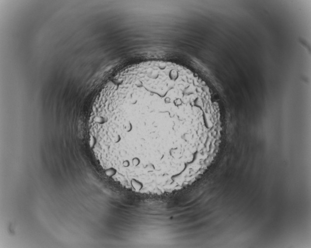 X0000103150161200809121824