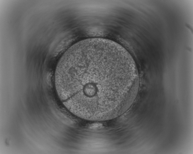 X0000103150162200809121824