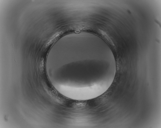 X0000103150163200809121824