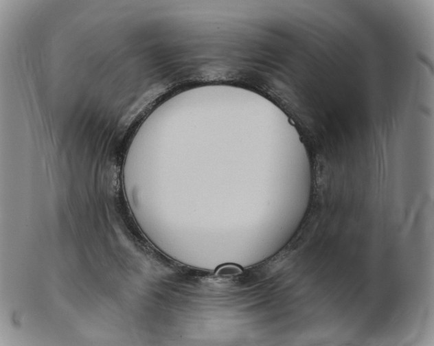 X0000103150164200809121824