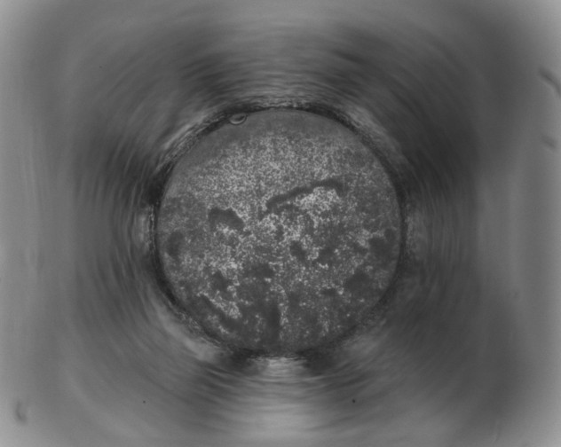 X0000103150165200809121824