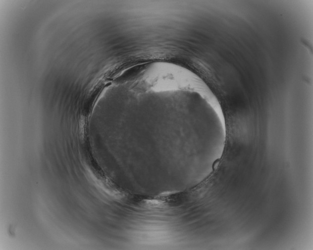 X0000103150167200809121824