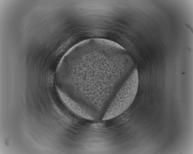 X0000103150168200809121824