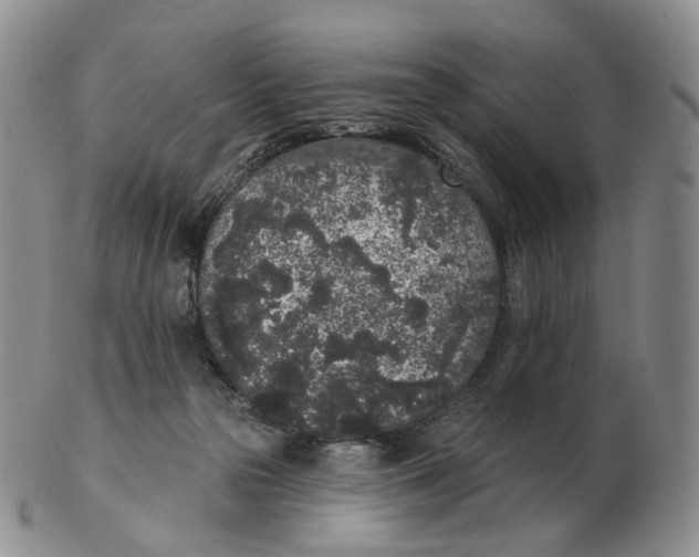 X0000103150169200809121824