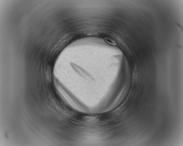 X0000103150170200809121824