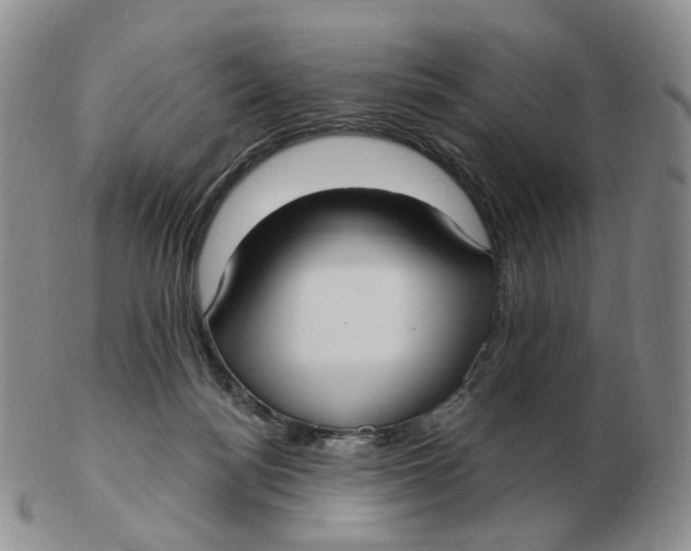 X0000103150172200809121824