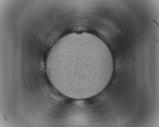 X0000103150173200809121824