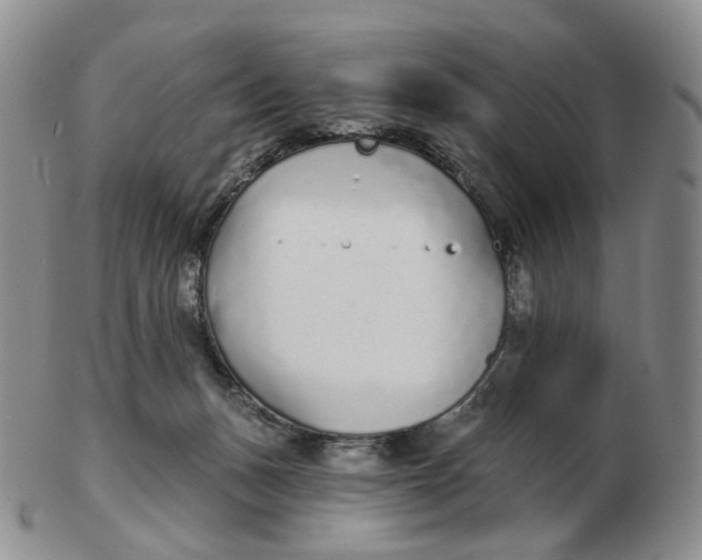 X0000103150175200809121824