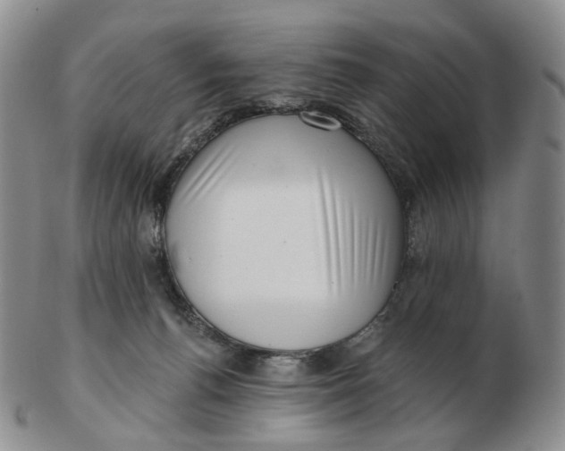 X0000103150176200809121824