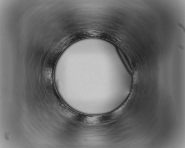 X0000103150178200809121824