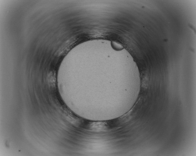 X0000103150179200809121824