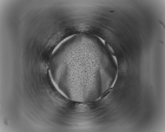 X0000103150180200809121824