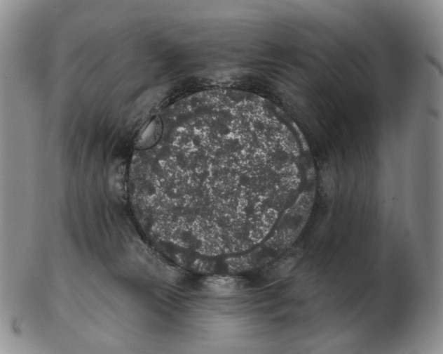 X0000103150181200809121824