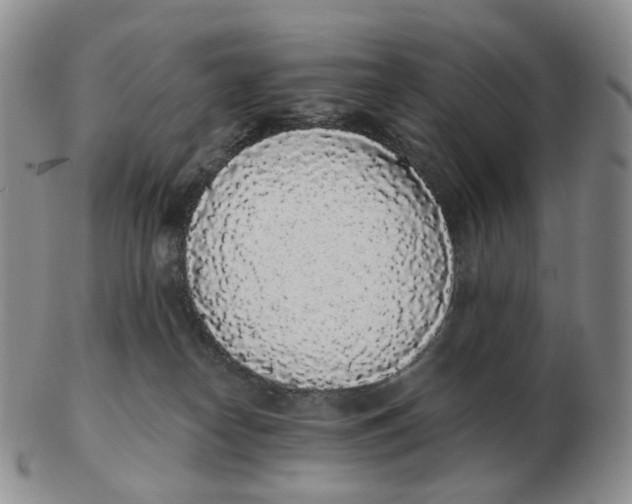 X0000103150182200809121824